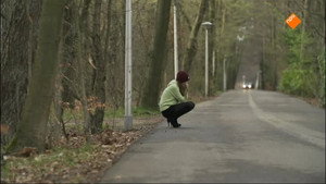 Verliefd, verkracht en vermist