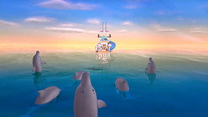 Dolphin Cruise