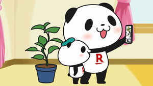 House Plant