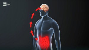 Xylella, the brain-gut link, and private astronauts