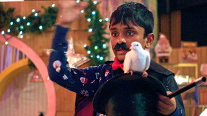 Can You Wrap a Pigeon?