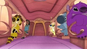 The Asteroid
