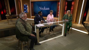 Episode 4