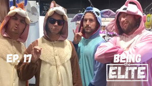 Episode 17