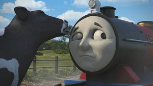 Mike's Whistle