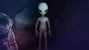 Face-to-Face Encounters With the Greys