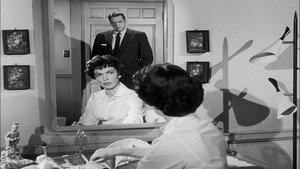 The Case of the Caretaker's Cat
