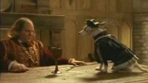 War of the Noses