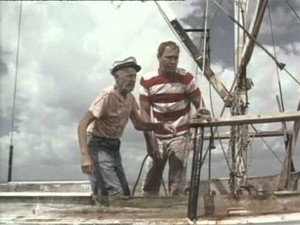 Flipper and the Fugitive (2)