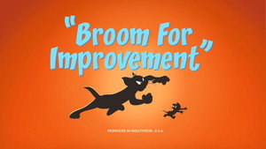 Broom for Improvement