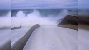Money, Beakmania & Water Power