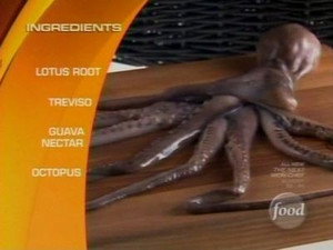 When Octopuses Attack