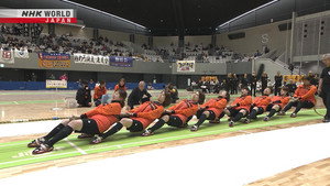 Pulling Together for a Dream