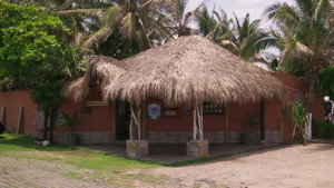 Aguas con el Coco