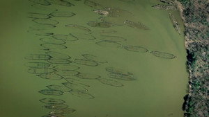 Ghost Fleet of Cannibal Bay