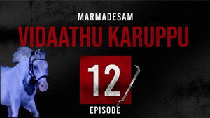 Episode 12