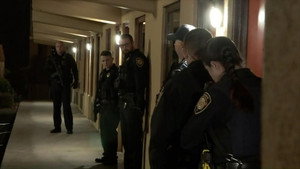 Home Burglary