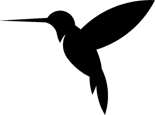 Colibrì12