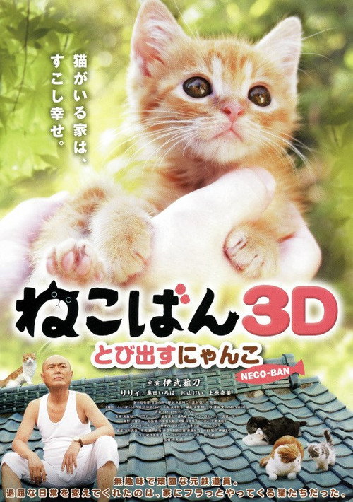 Nekoban: Cats in Your Life