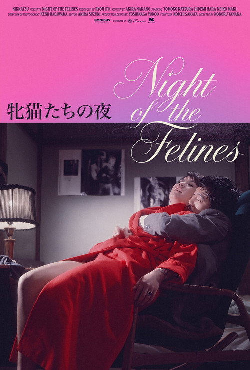 Night of the Felines